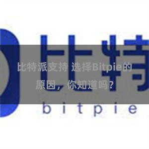 比特派支持 选择Bitpie的原因，你知道吗？