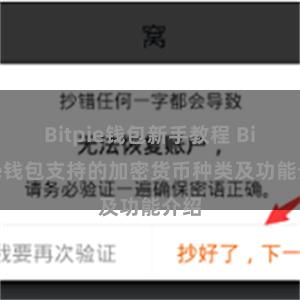 Bitpie钱包新手教程 Bitpie钱包支持的加密货币种类及功能介绍