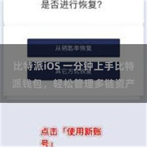 比特派iOS 一分钟上手比特派钱包，轻松管理多链资产