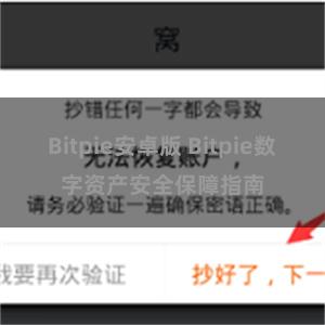 Bitpie安卓版 Bitpie数字资产安全保障指南