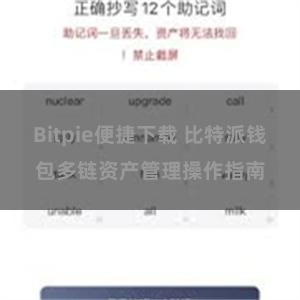 Bitpie便捷下载 比特派钱包多链资产管理操作指南