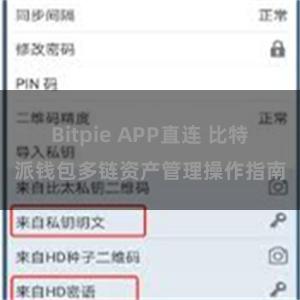 Bitpie APP直连 比特派钱包多链资产管理操作指南