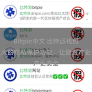 Bitpie中文 比特派钱包：强大的隐私保护功能，让您资产更安全