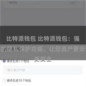 比特派钱包 比特派钱包：强大的隐私保护功能，让您资产更安全