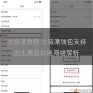 比特派教程 比特派钱包支持的主要区块链网络解析