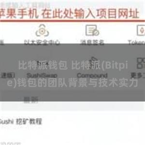 比特派钱包 比特派(Bitpie)钱包的团队背景与技术实力