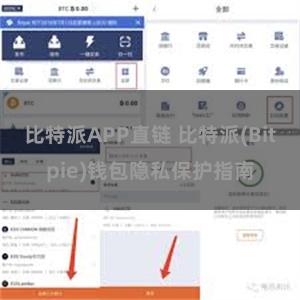 比特派APP直链 比特派(Bitpie)钱包隐私保护指南