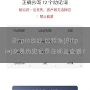 Bitpie资源 比特派(Bitpie)交易历史记录在哪里查看？