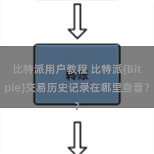 比特派用户教程 比特派(Bitpie)交易历史记录在哪里查看？