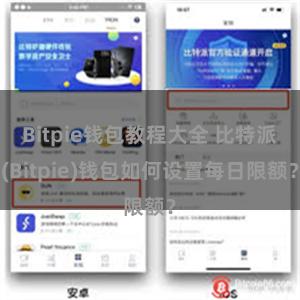 Bitpie钱包教程大全 比特派(Bitpie)钱包如何设置每日限额？