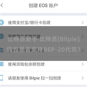 比特派新手 比特派(Bitpie)钱包是否支持BEP-20代币？