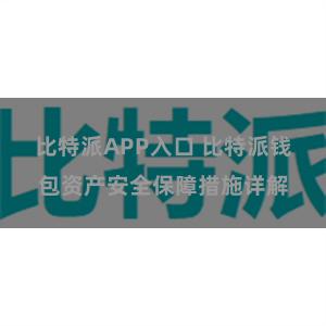 比特派APP入口 比特派钱包资产安全保障措施详解