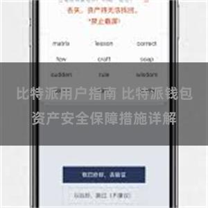 比特派用户指南 比特派钱包资产安全保障措施详解